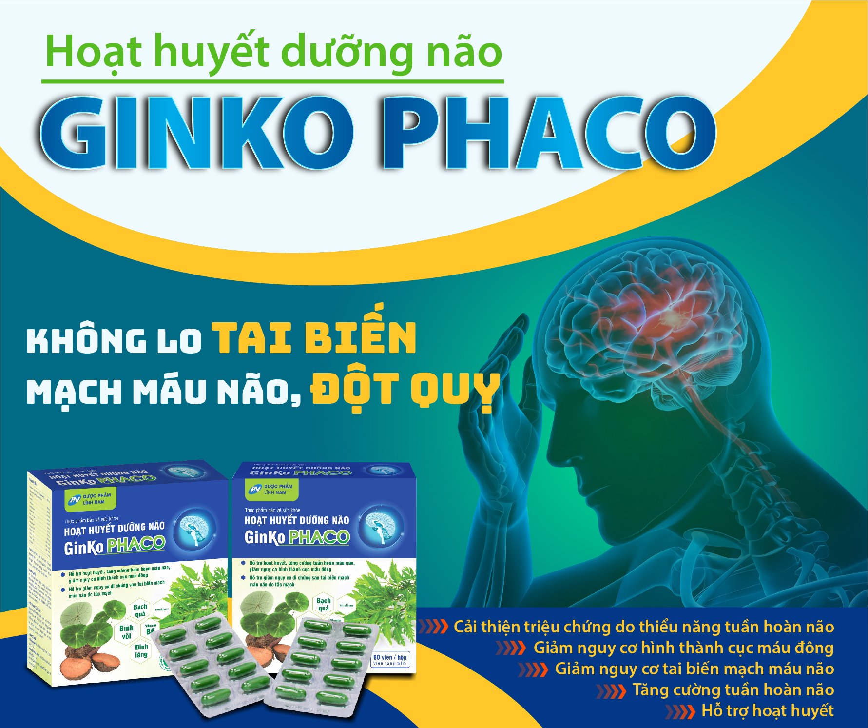 hoat-huyet-duong-nao-ginko-phaco